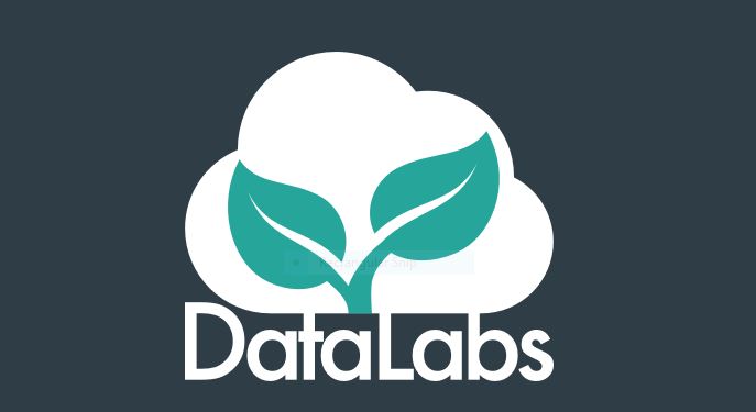 DataLabs logo