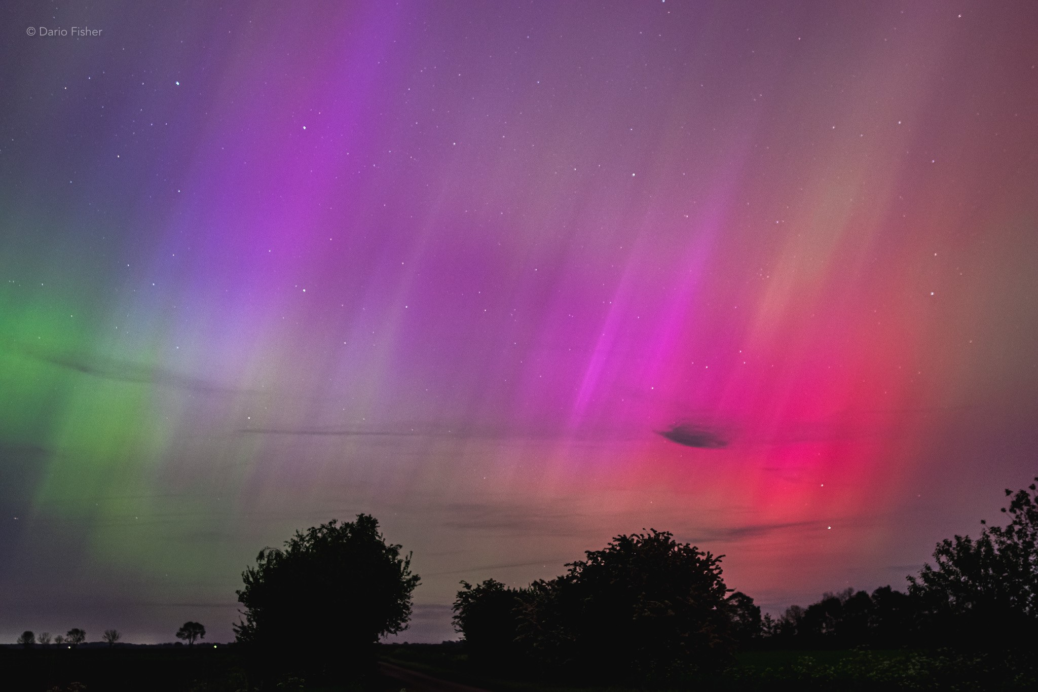 Photograph of the aurora in green, purple, pink, and red