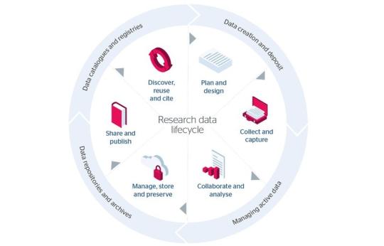 Infographic of Research Data Lifecycle