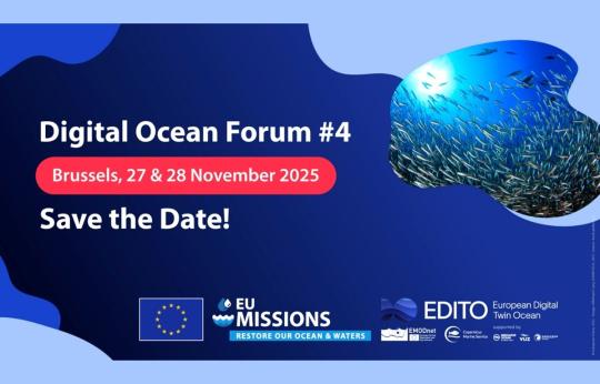 Graphic advertising The Digital Ocean Forum 2025