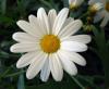 Profile picture for user Richenda Houseago-Stokes