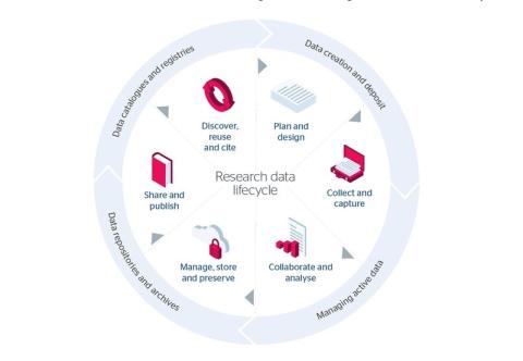 Infographic of Research Data Lifecycle